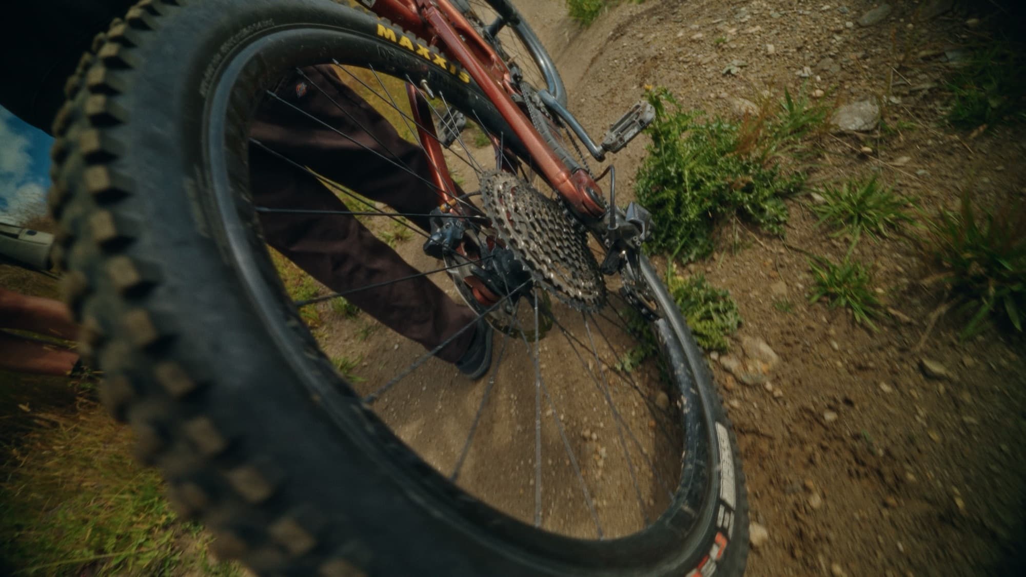 Shimano × Bike Glendhu — 1